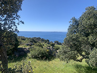 Collobrières